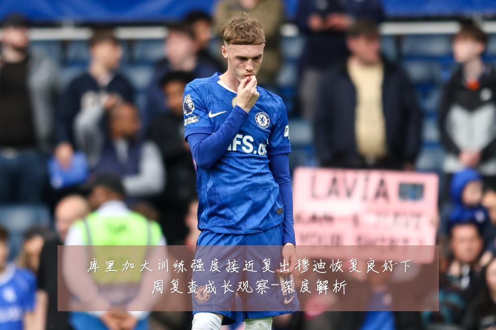 库里加大训练强度接近复出穆迪恢复良好下周复查成长观察-深度解析